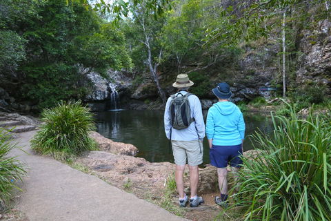 Kondalilla Falls Circuit, Kondalilla National Park - Accommodation Gold Coast 1