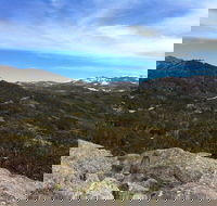 Kosciuszko National Park Charlottes Pass to Snowy River - Accommodation Gold Coast