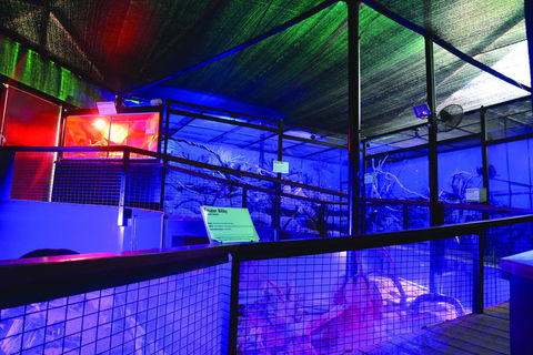 Kuranda Koala Gardens - 1 Gold Coast 2