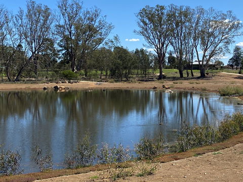 Lake King Wetlands At Rutherglen - Accommodation Gold Coast 0
