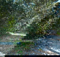 Lillypilly loop trail - Accommodation Gold Coast