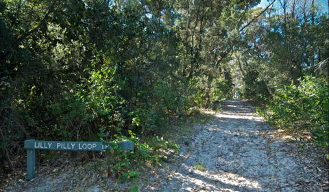 Lillypilly Loop Trail - 1 Gold Coast 0