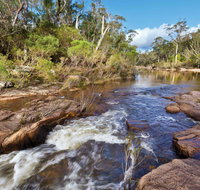 Little Dandahra Creek Walking Track - Accommodation Gold Coast