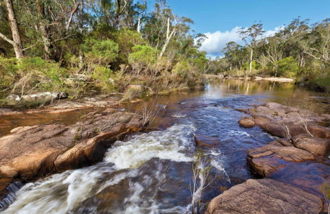 Little Dandahra Creek Walking Track - Accommodation Gold Coast 0