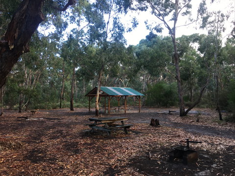 Long Lead Picnic Area And Campground - Accommodation Gold Coast 0
