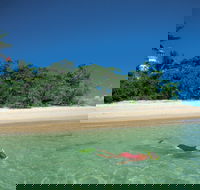 Low Isles - Accommodation Gold Coast