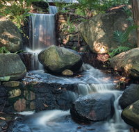 Mackay Regional Botanic Gardens - Accommodation Gold Coast