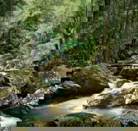 Maleny - 1 Gold Coast