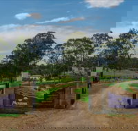 Moorebank Vineyard - Accommodation Gold Coast