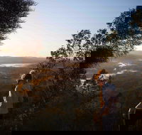 Mount Arthur Reserve - Accommodation Gold Coast