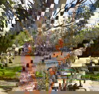 Moulamein River Walk - Accommodation Gold Coast