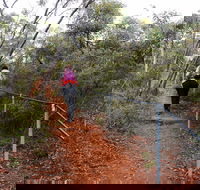 Mount Matilda Walk Trail Wongan Hills - Accommodation Gold Coast
