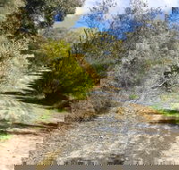 Naracoorte North Nature Park - Accommodation Gold Coast