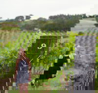 Naturally Luxurious - Great Beach Drive - Accommodation Gold Coast