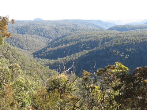 Nattai Gorge Lookout - 1 Gold Coast 1