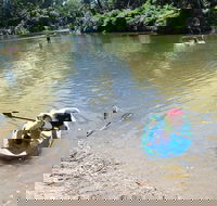 Neurum Creek Campgrounds - Accommodation Gold Coast