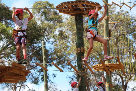 Next Level Monkey Business - 1 Gold Coast 0