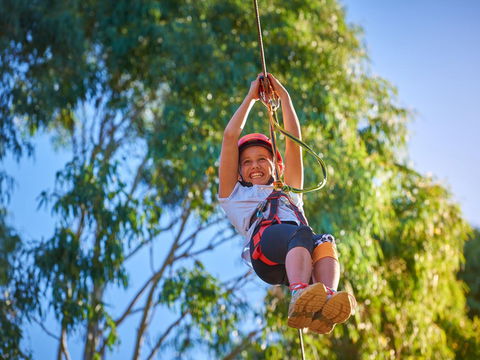 Next Level Monkey Business - 1 Gold Coast 2