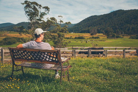 North - North East - Accommodation Gold Coast 0