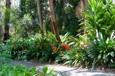 North Coast Regional Botanic Garden - Gold Coast 4U 1
