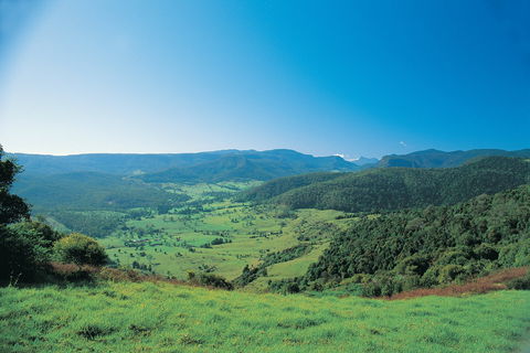Numinbah Section, Springbrook National Park - Gold Coast 4U 0