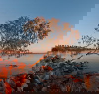 Peery Lake - Accommodation Gold Coast