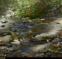 Plateau Circuit Loop Trail - Gold Coast 4U