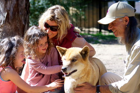 Potoroo Palace Native Animal Sanctuary - Accommodation Gold Coast 0
