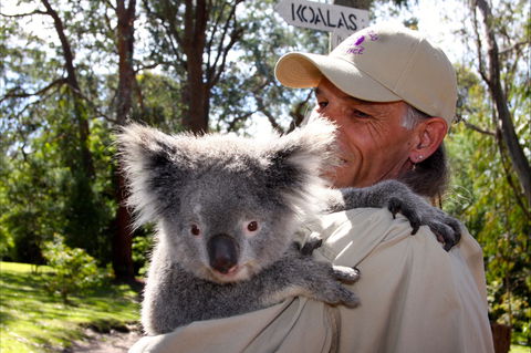 Potoroo Palace Native Animal Sanctuary - Accommodation Gold Coast 2