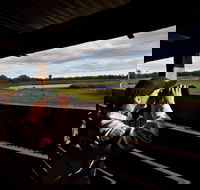 Reed Beds Bird Hide Boardwalk - Gold Coast 4U