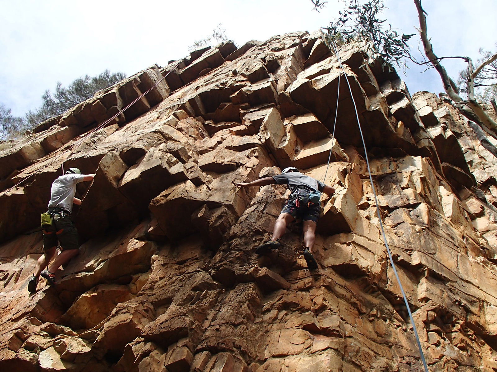 Woodforde SA Gold Coast 4U