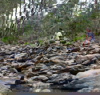 Rocksberg Park Heritage Reserve - Accommodation Gold Coast