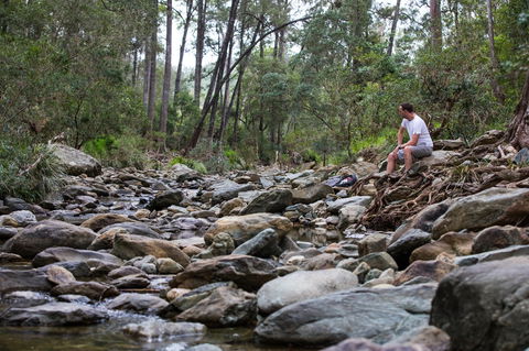 Rocksberg Park Heritage Reserve - Accommodation Gold Coast 0