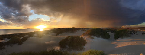 Shelly Beach Dune Walk Trail - Accommodation Gold Coast 2