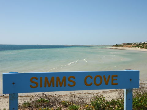 Simms Cove Lookout And Beach, Moonta Bay - Accommodation Gold Coast 0