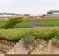 Smidge Wines Tasting Room - Accommodation Gold Coast