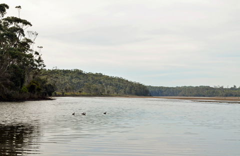 Tabourie Lake - Accommodation Gold Coast 0