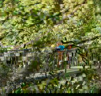 Tamborine Mountain - Accommodation Gold Coast