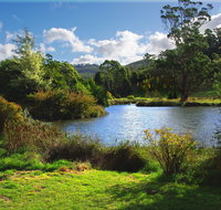 Tasmanian Arboretum Inc. - The - Accommodation Gold Coast