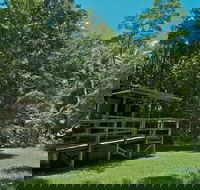 Terania Creek Picnic Area - Accommodation Gold Coast