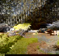 The Pines Picnic Area - Gold Coast 4U