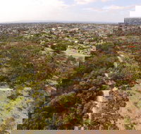 The Pines Flora and Fauna Reserve - Accommodation Gold Coast