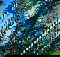 The Four Aces - Accommodation Gold Coast