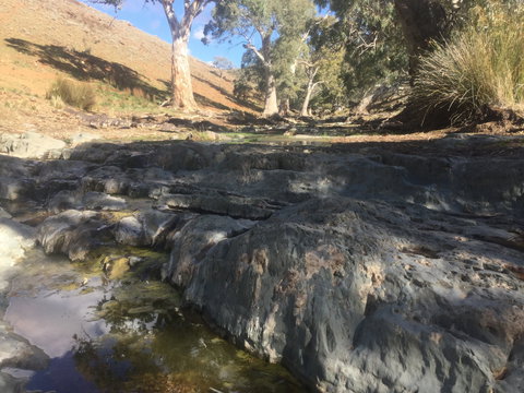 Three Creeks Station -Arkaroona Creek Walk - Accommodation Gold Coast 0