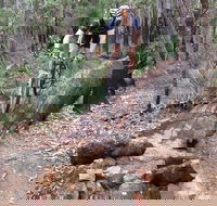 Turner Hill Mountain Bike Trail Murray - Accommodation Gold Coast