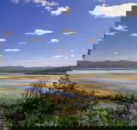 Wallagoot Lake Picnic Area and Boat Ramp - Accommodation Gold Coast