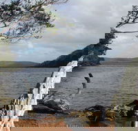 Walpole-Nornalup Inlet - Accommodation Gold Coast
