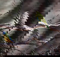 Warby-Ovens National Park - 1 Gold Coast