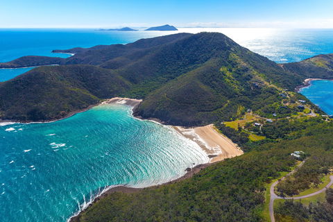 Whale Watching On Keswick Island - 1 Gold Coast 1