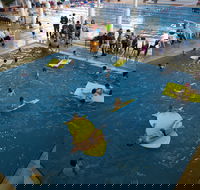 Wodonga Sports and Leisure Centre - Accommodation Gold Coast